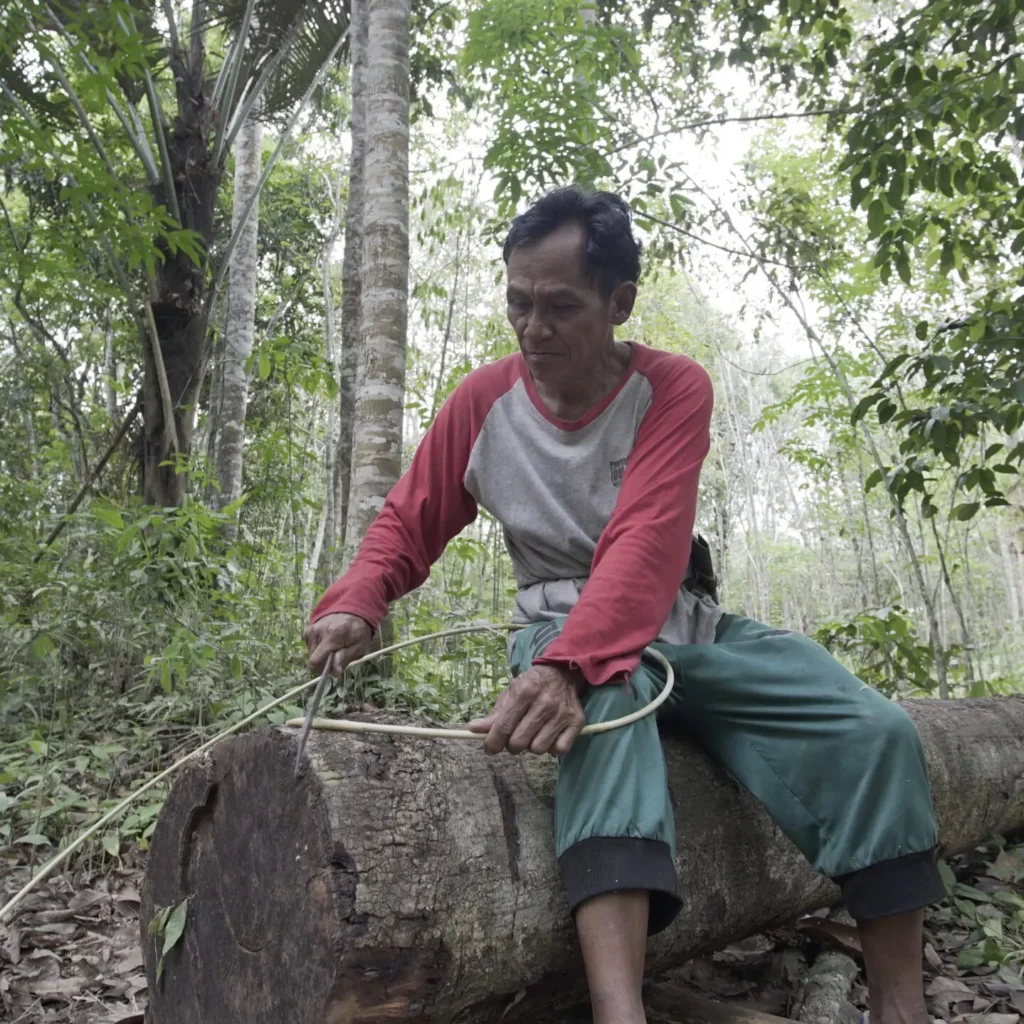 Hutan Rotan